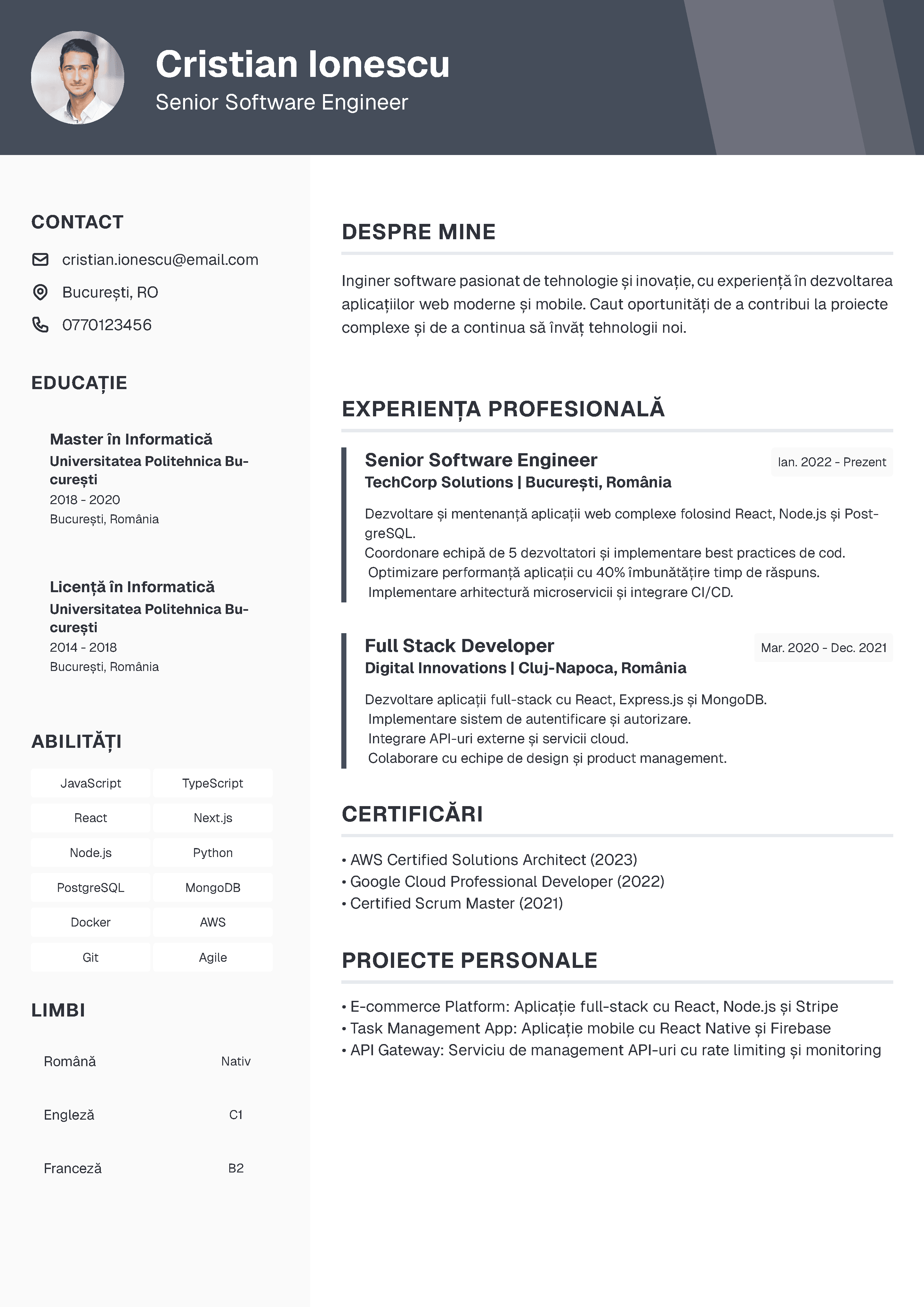 Profesional template preview